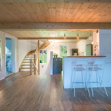 Le Manoir Penthouse Apartamento Wengen
