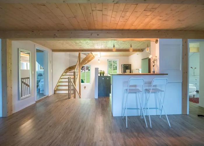 Le Manoir Penthouse Apartman Wengen