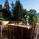 Le Manoir Penthouse Wengen