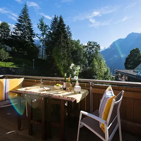 Le Manoir Penthouse Apartamento Wengen